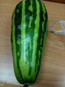 什么吃瓜,跟随吃瓜群众探寻明星幕后故事