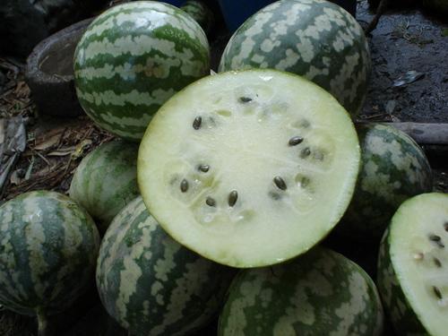 日本丑瓜怎么吃,日本丑瓜的多样食法探索