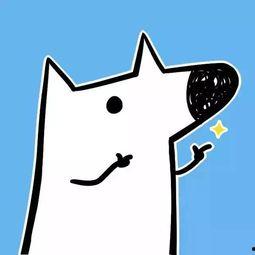 吃瓜的阿福知乎,揭秘网络红人的幕后故事