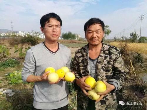 吃瓜群众邹城,揭秘娱乐圈背后的故事