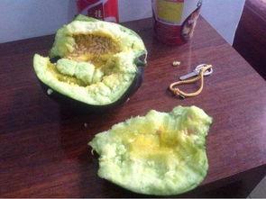 赖瓜吃皮还是吃籽,皮与籽的抉择，谁才是美味之选？