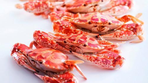 吃完螃蟹可以吃哈密瓜,螃蟹与哈密瓜的完美邂逅