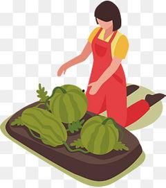 吃瓜阿姨素材下载