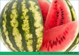 新密麻总吃瓜,瓜田里的欢乐时光