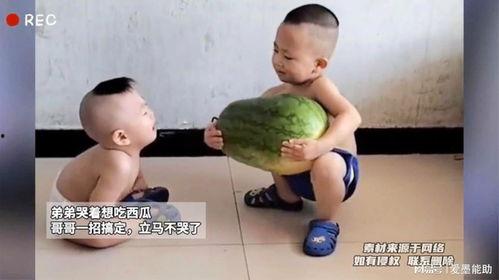 弟弟吃瓜的图片,弟弟吃瓜萌态十足