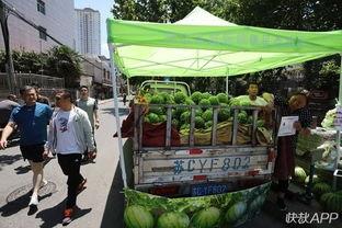 徐州经贸吃瓜墙,校园热点事件背后的真相与笑料