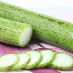 广州吃瓜虫,探寻“吃瓜虫”的独特风味之旅