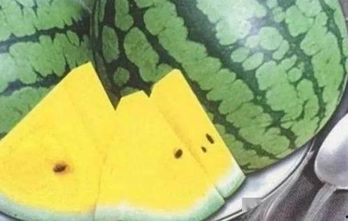 吃瓜标记,吃瓜群众眼中的明星幕后故事