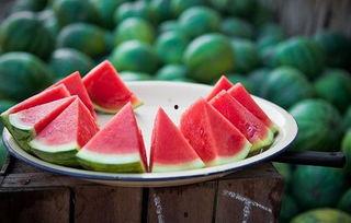 别太吃瓜,理性看待网络舆论，守护心灵净土