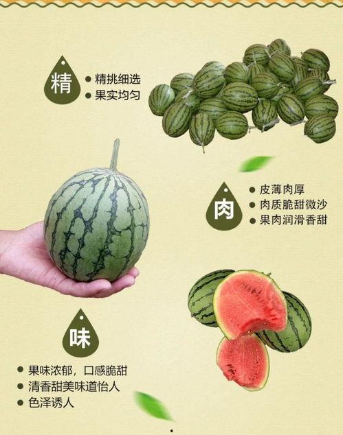 红玉吃瓜,揭秘娱乐圈幕后故事