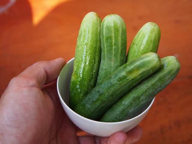 冬至吃瓜怎么吃,创意吃瓜新风尚