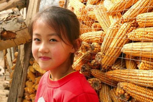 马老师吃瓜开挂,揭秘网络红人的神秘魅力