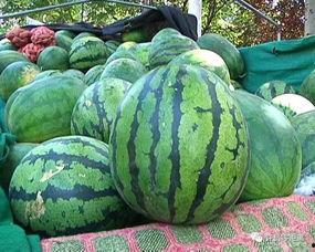 如何看待网络吃瓜,揭秘虚拟世界的“围观”文化