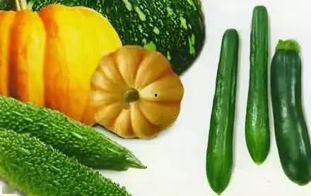 吃瓜九幺,网络红人的崛起与影响力