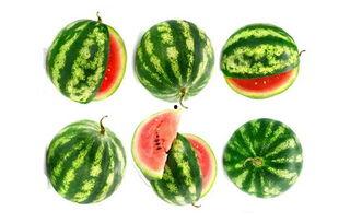 绿藤市吃瓜,揭秘城市里的“瓜田”趣事