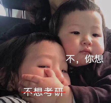 吃瓜好忙,揭秘娱乐圈幕后风云