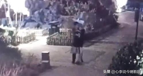 临沂吃瓜视频完整