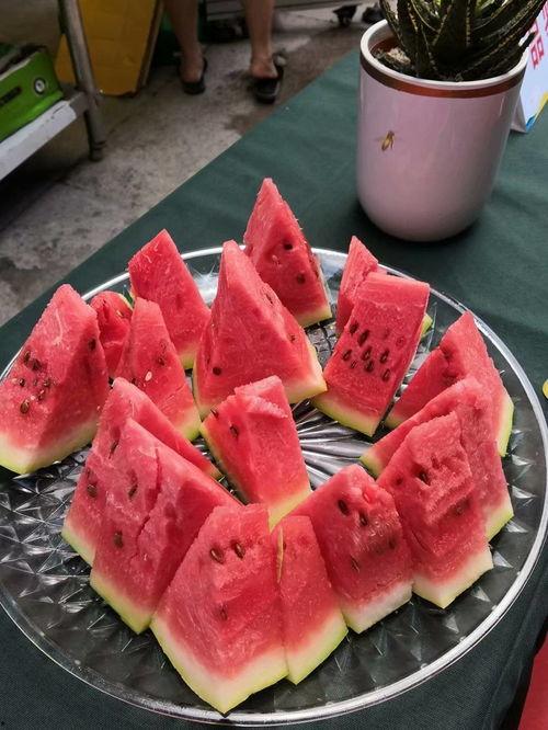 重庆吃瓜视频大全,麻辣鲜香，尽享山城美食盛宴