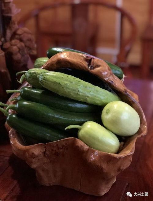 吃瓜网菜网红,揭秘网络美食界的明星风采