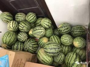 惠州过年吃瓜视频,趣味吃瓜视频展现年味民俗