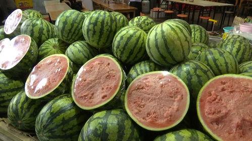 自由吃瓜基,揭秘网络时代的娱乐狂欢与理性思考 第2张 自由吃瓜基,揭秘网络时代的娱乐狂欢与理性思考 第2张