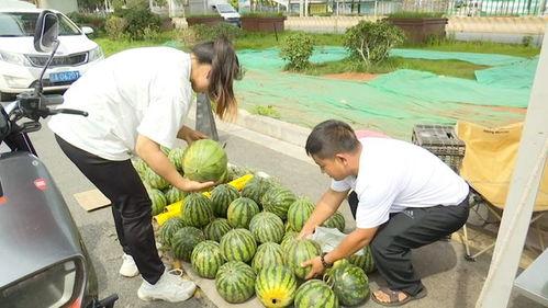 自由吃瓜基,揭秘网络时代的娱乐狂欢与理性思考 第3张 自由吃瓜基,揭秘网络时代的娱乐狂欢与理性思考 第3张