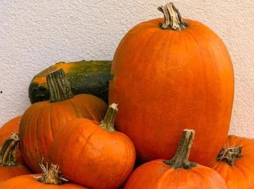 哪个瓜不能随便吃 第3张 哪个瓜不能随便吃 第3张