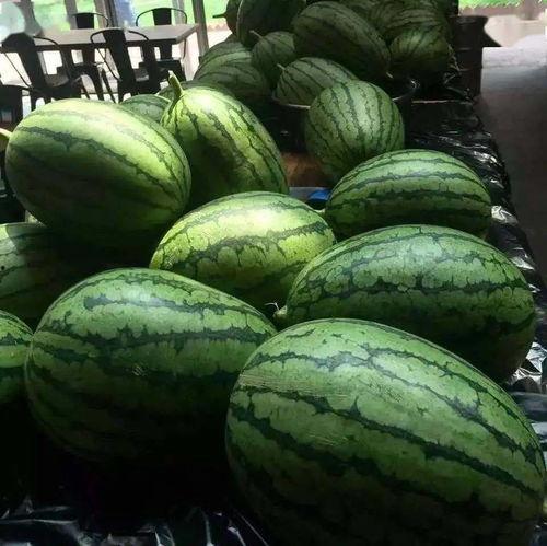 吃瓜18在线观看  第3张