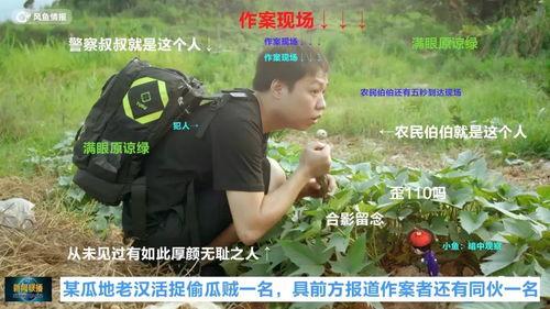 司机假装吃瓜群众,揭秘街头巷尾的趣味瞬间 第3张 司机假装吃瓜群众,揭秘街头巷尾的趣味瞬间 第3张