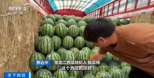 卖个盘子吃瓜,一场别开生面的市井生活盛宴  第3张