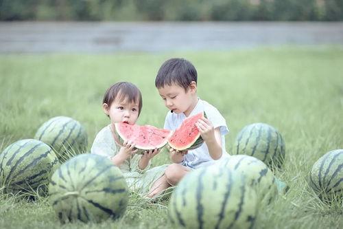 吃瓜小道童  第2张