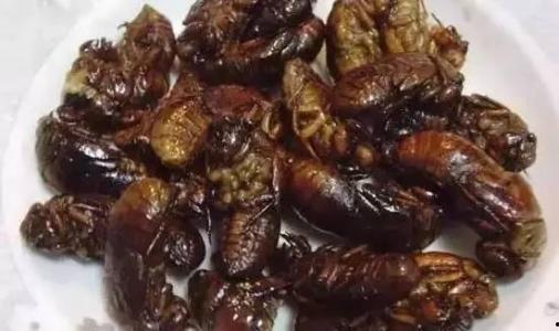 外国不敢吃的瓜 第2张 外国不敢吃的瓜 第2张