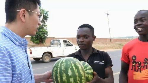 外国不敢吃的瓜 第3张 外国不敢吃的瓜 第3张