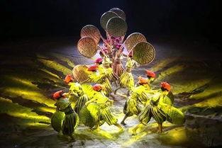 鹤鹤吃瓜,揭秘动物界的趣味生活瞬间  第3张