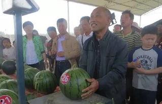 内黄吃瓜群众群,揭秘民间舆论场的热点焦点