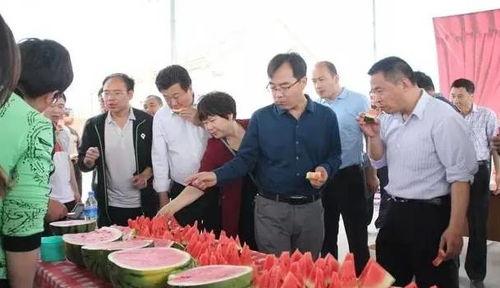 内黄吃瓜群众群,揭秘民间舆论场的热点焦点  第2张