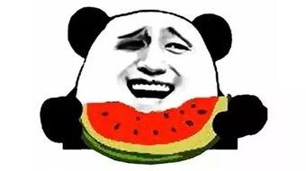 吃瓜最终,吃瓜群众视角下的娱乐圈风云录  第2张