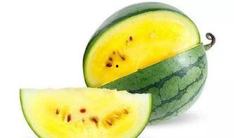 郑州吃瓜正商  第3张