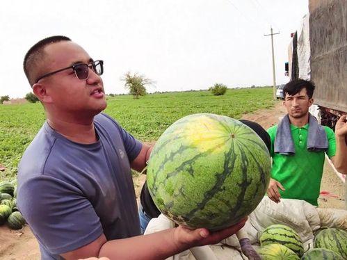 砸水壶吃瓜 第3张 砸水壶吃瓜 第3张