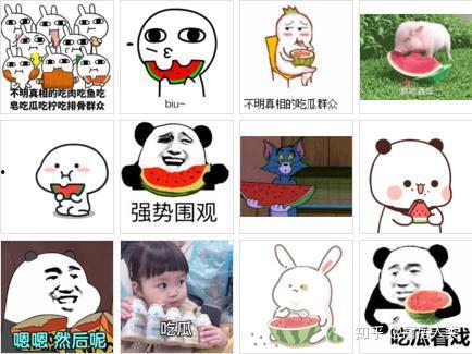 瓜瓜吃瓜引入语  第2张