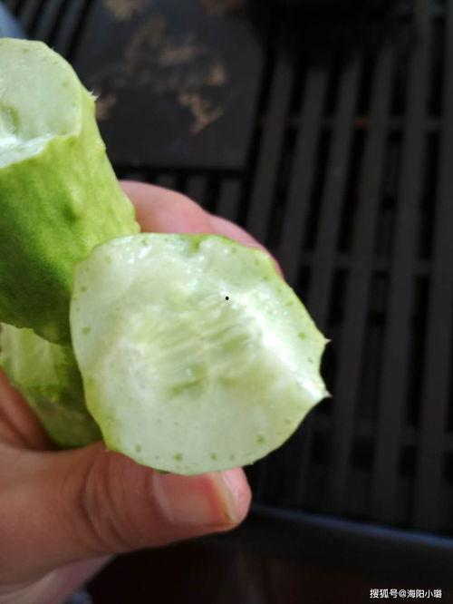 吃白玉瓜上火吗