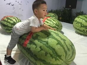 上饶吃瓜群众事件