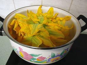 鱼翅瓜怎样吃最好吃,解锁最佳食用秘诀 第3张 鱼翅瓜怎样吃最好吃,解锁最佳食用秘诀 第3张