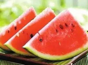 交院菜鸟吃瓜,校园生活趣味横生