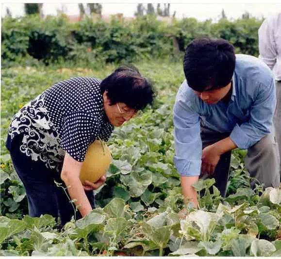 交院菜鸟吃瓜,校园生活趣味横生 第2张 交院菜鸟吃瓜,校园生活趣味横生 第2张