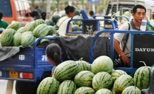 交院菜鸟吃瓜,校园生活趣味横生 第3张 交院菜鸟吃瓜,校园生活趣味横生 第3张