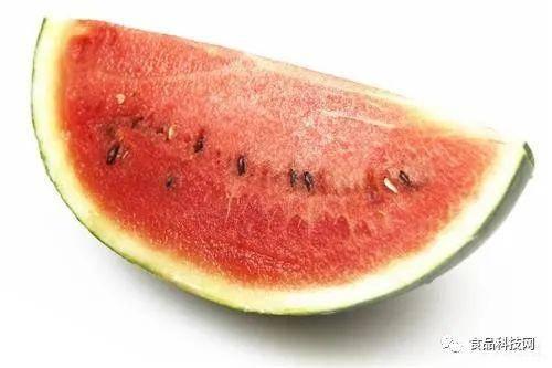 吃瓜好帮手 第3张 吃瓜好帮手 第3张