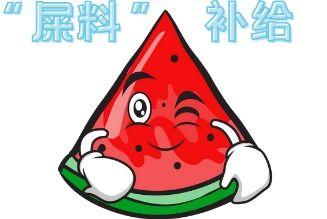 吃瓜型人格 第2张 吃瓜型人格 第2张