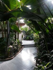 阿勒泰布尔津吃瓜,瓜果飘香，尽享夏日田园风光  第3张