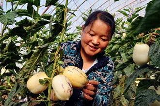 瓜州县吃活鱼,新鲜滋味尽享舌尖盛宴  第2张